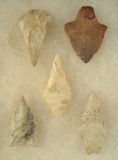 Set of five assorted Arrowheads, largest is 2 1/4