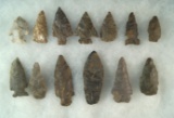 Set of 13 assorted Arrowheads, largest is 2 15/16
