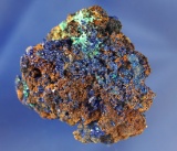 Mineral Specimen: Azurite and Malachite found in Bou Beker, Morocco. 1 7/8
