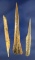 Set of three Bone Awls found in Kentucky, largest is 4 1/2