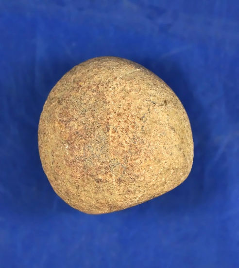 1 5/8" tall Hemispheric Cone found in Richland Co., Illinois.
