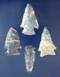 Set of four Coshocton Flint Arrowheads found in Ohio, largest is 2