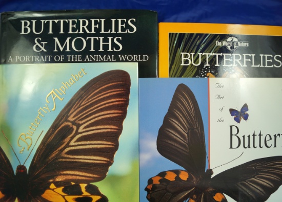 Group of 4 books: "The Art of the Butterfly", "Butterflies", "The Butterfly Alphabet", and "Butterfl