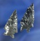 Pair of Obsidian arrowheads included in Elko and a Pinto Basin. Largest is 1 1/2