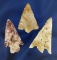 Set of three Columbia River arrowheads, largest is 1 15/16