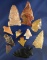 Group of 11 assorted Oregon and Washington arrowheads, largest is 2 1/8