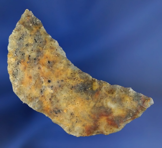 Sale Highlight! 2 1/16" Butterfly Paleo Crescent - Alvord Desert.  Ex. Don Gillogly collection.