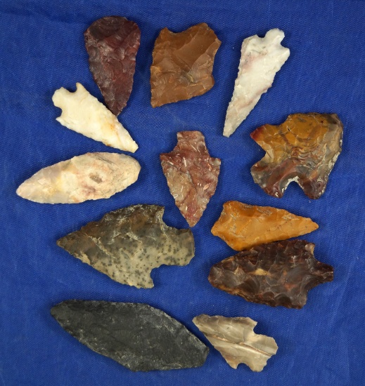 Group of 12 assorted arrowheads found near the Columbia River, largest is 2 1/16".