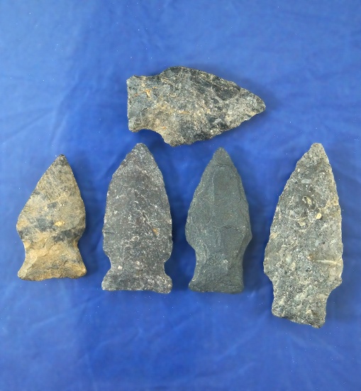 Set of five Virginia Arrowheads in nice condition, largest is 1 7/8".