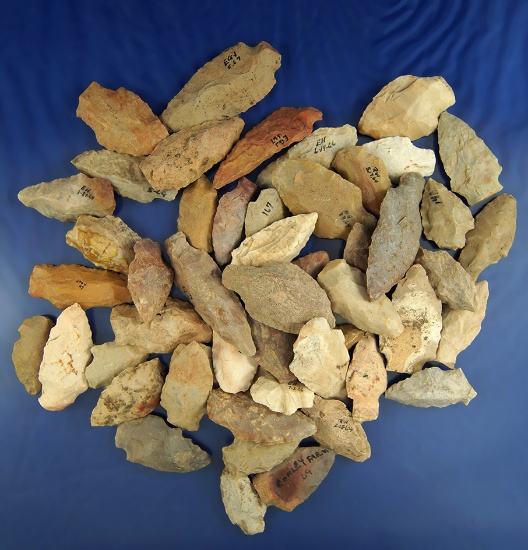 Large group of 50 assorted Archaic Arrowheads found in Greenup Co., Kentucky.