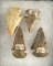 Set of four Archaic Bevels, all are well patinated and found in Coshocton Co.,  Ohio. Largest is 2 7