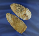 Pair of Flint Ridge Flint Blades found in Knox Co.,  Ohio, largest is 2 1/2