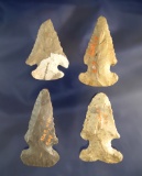Set of 4 Archaic Bevels found in Huron Co., Ohio, largest is 2 5/8