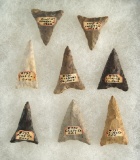 Set of eight Mississippian Triangle Arrowheads, largest is 1 5/8