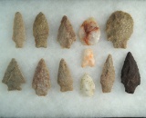 Set of 12 assorted Quartz and Rhyolite Arrowheads found in Virginia, largest is 2 5/8