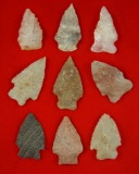 Set of 9 assorted Virginia Arrowheads, largest is 2