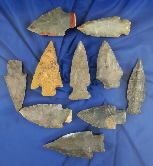 Set of 10 assorted Arrowheads found in Alabama and Tennessee, largest is 2 1/4".