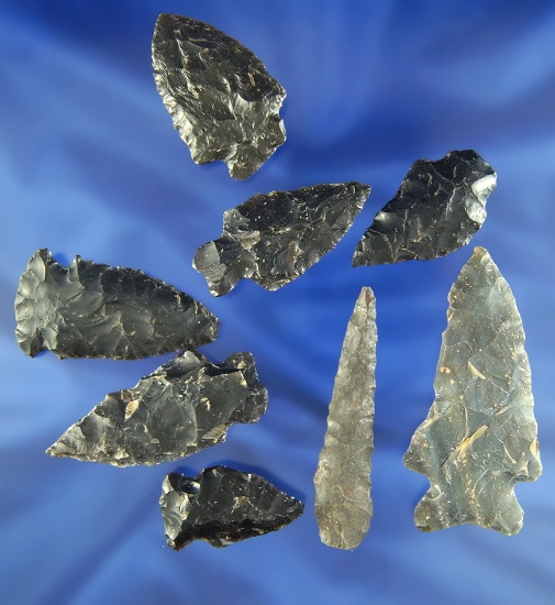 Set of seven assorted Arrowheads found in Bedford Co.,  Virginia, largest is 2 7/16".