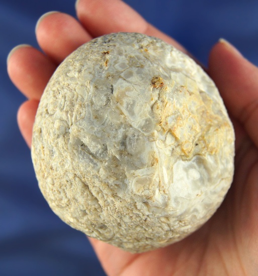 2 3/4" Flint Hammerstone found in Lawrence Co.,  Indiana.