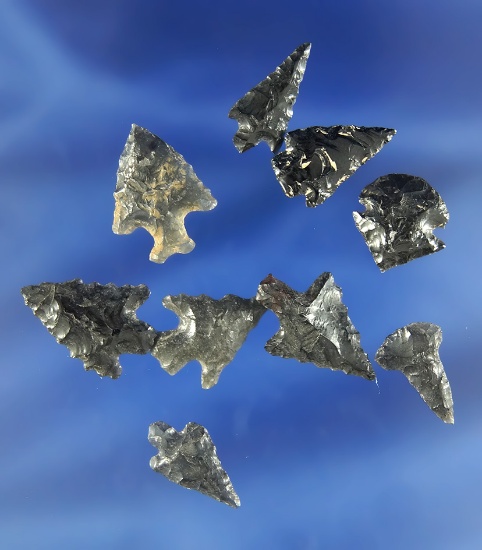 Set of nine assorted Obsidian Arrowheads found at Gunther Island by Cecile Clarke