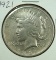 1921 Peace Silver Dollar VF Details