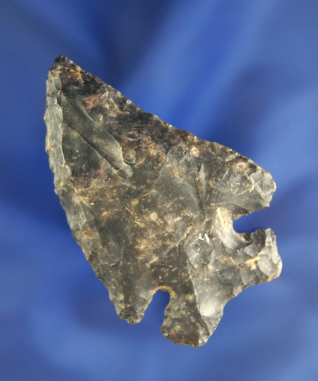 2 1/2" Coshocton Flint Thebes found in Ohio. Comes with a Bennett COA.