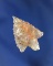 Highly translucent nicely serrated Gempoint found near the Columbia River with excellent serrations.