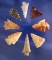 Set of eight assorted Columbia River arrowheads found near Wishram, Washington