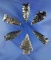 Group of six Great Basin Obsidian arrowheads, largest is 1 7/16