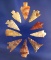 Set of 10 assorted Columbia River Gempoints found in Washington, largest is 7/8