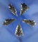 Set of five Obsidian arrowheads found in California and Nevada, largest is 1 1/4
