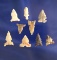 Set of 9 assorted Columbia River arrowheads found near Wishram, Washington.