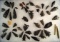 Large group of 45+ mostly Obsidian arrowheads found in Oregon, all have some damage.