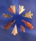 Set of 8 assorted colorful Columbia River arrowheads found near Wishram, Washington.