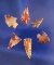 Set of 6 Columbia River arrowheads - high quality material  Wishram area of the Columbia River.