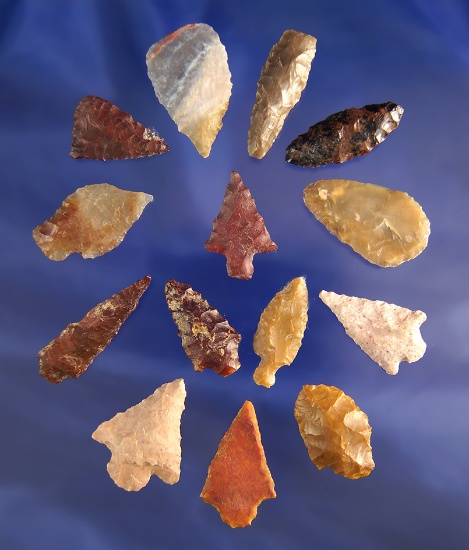 Group of 14 assorted arrowheads found in Washington, largest is 1 3/8".