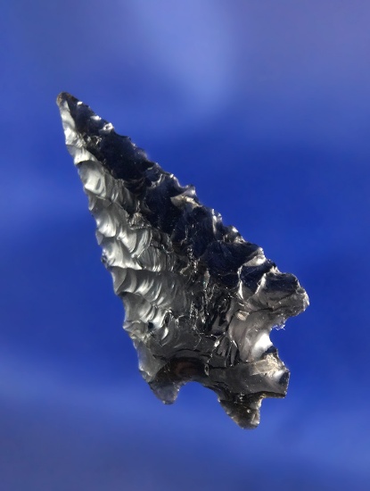 1 9/16" Obsidian Pinto Basin found in Oregon.