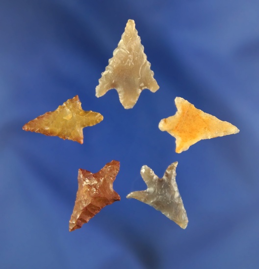 Set of five assorted Columbia River Gempoints, largest is 15/16".