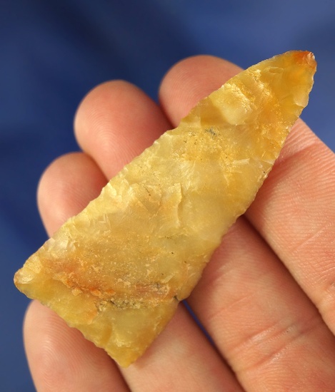 2 3/8" Triangular Knife made from yellow Agatized Wood found in Washington.