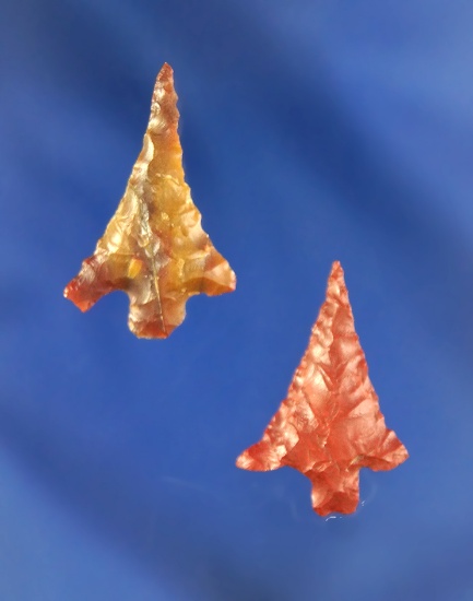 Pair of Columbia River Gempoints, largest is 7/8".
