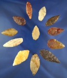 Set of 12 assorted Columbia River Leaf Points, largest is 1 5/8