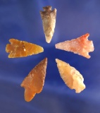 Set of five assorted Columbia River Gempoints, largest is 1 3/16