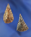 Pair of Leaf Points found near the Columbia River, Washington. Largest is 1 5/16