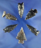 Group of six Great Basin Obsidian arrowheads, largest is 1 7/16