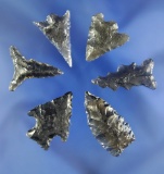Set of six California arrowheads made from Obsidian, largest is 1 3/16