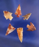 Set of 6 Columbia River arrowheads - high quality material  Wishram area of the Columbia River.