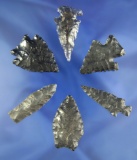 Set of six assorted Western U.S. Obsidian arrowheads, largest is 1 5/8