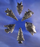 Set of six assorted Obsidian arrowheads found near Fort Rock Oregon, largest is 1 1/2