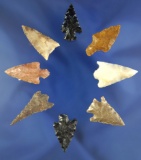 Set of eight assorted arrowheads found in Oregon and Washington, largest is 1 1/16