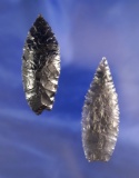 Pair of well flaked Obsidian Humboldts, largest is 2 3/16